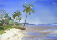 Aquarelle Cara&iuml;bes